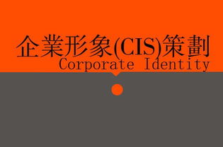 廣告、營銷、品牌與企業策劃 戰略協同下的廣告設計核心